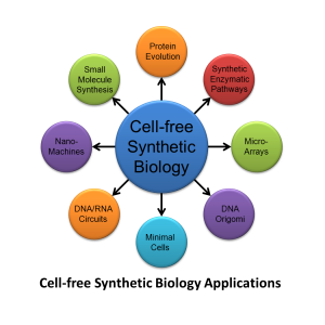 Cell-free Synthetic Biology Cell-free Synthetic Biology